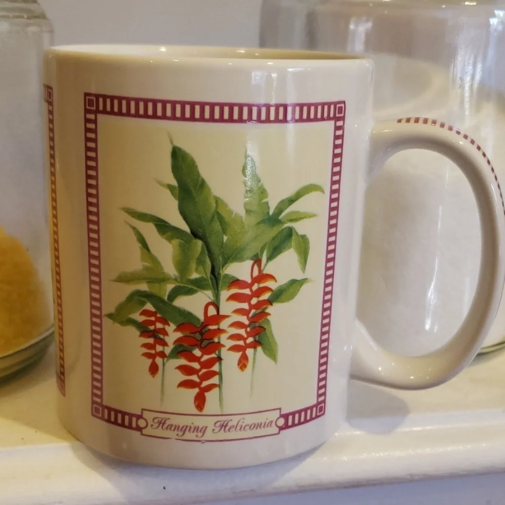 Hilo Hattie Island flowers coffee mug/pukka shells